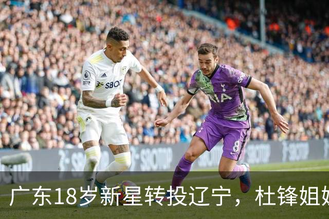 广东18岁新星转投辽宁，杜锋姐姐当选篮协副会长，2后卫试训新疆，广厦外援接受归化